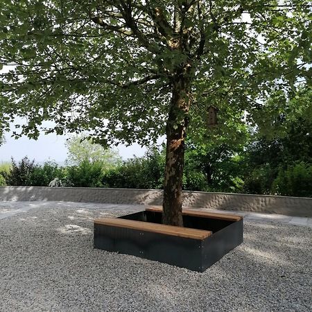 Ferienwohnung Schuhmann Mit Wintergarten Und Garten Therme Aquapulco Und Ikuna Erlebnispark, Zoo Schmiding 20 Min Mit Auto Entfernt Ab 3 Naechte Buchbar Hinzenbach Buitenkant foto
