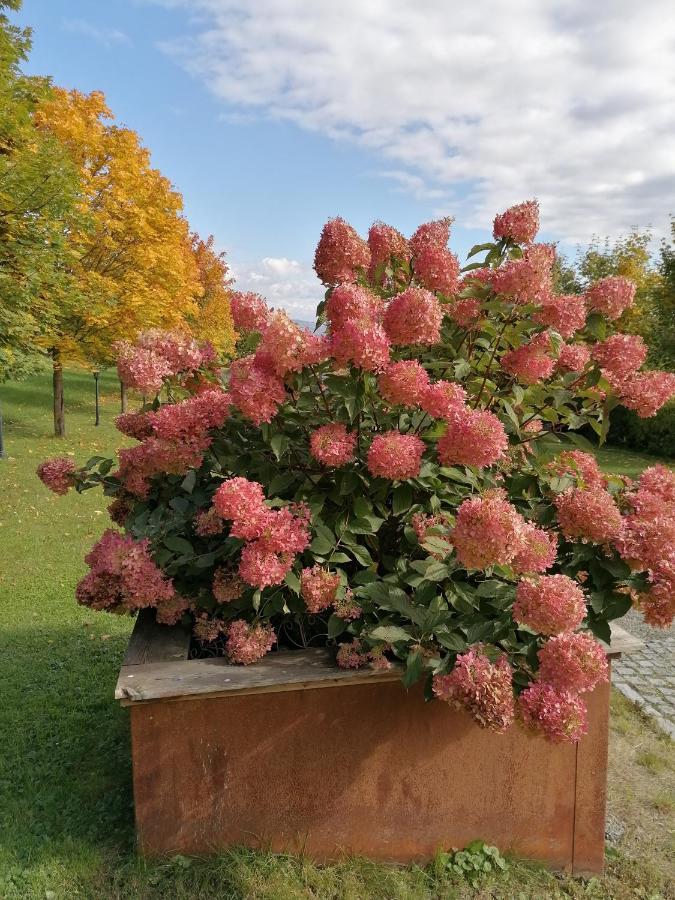 Ferienwohnung Schuhmann Mit Wintergarten Und Garten Therme Aquapulco Und Ikuna Erlebnispark, Zoo Schmiding 20 Min Mit Auto Entfernt Ab 3 Naechte Buchbar Hinzenbach Buitenkant foto