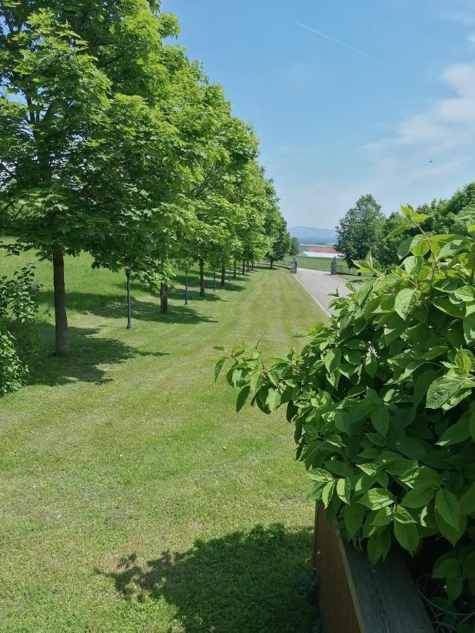 Ferienwohnung Schuhmann Mit Wintergarten Und Garten Therme Aquapulco Und Ikuna Erlebnispark, Zoo Schmiding 20 Min Mit Auto Entfernt Ab 3 Naechte Buchbar Hinzenbach Buitenkant foto