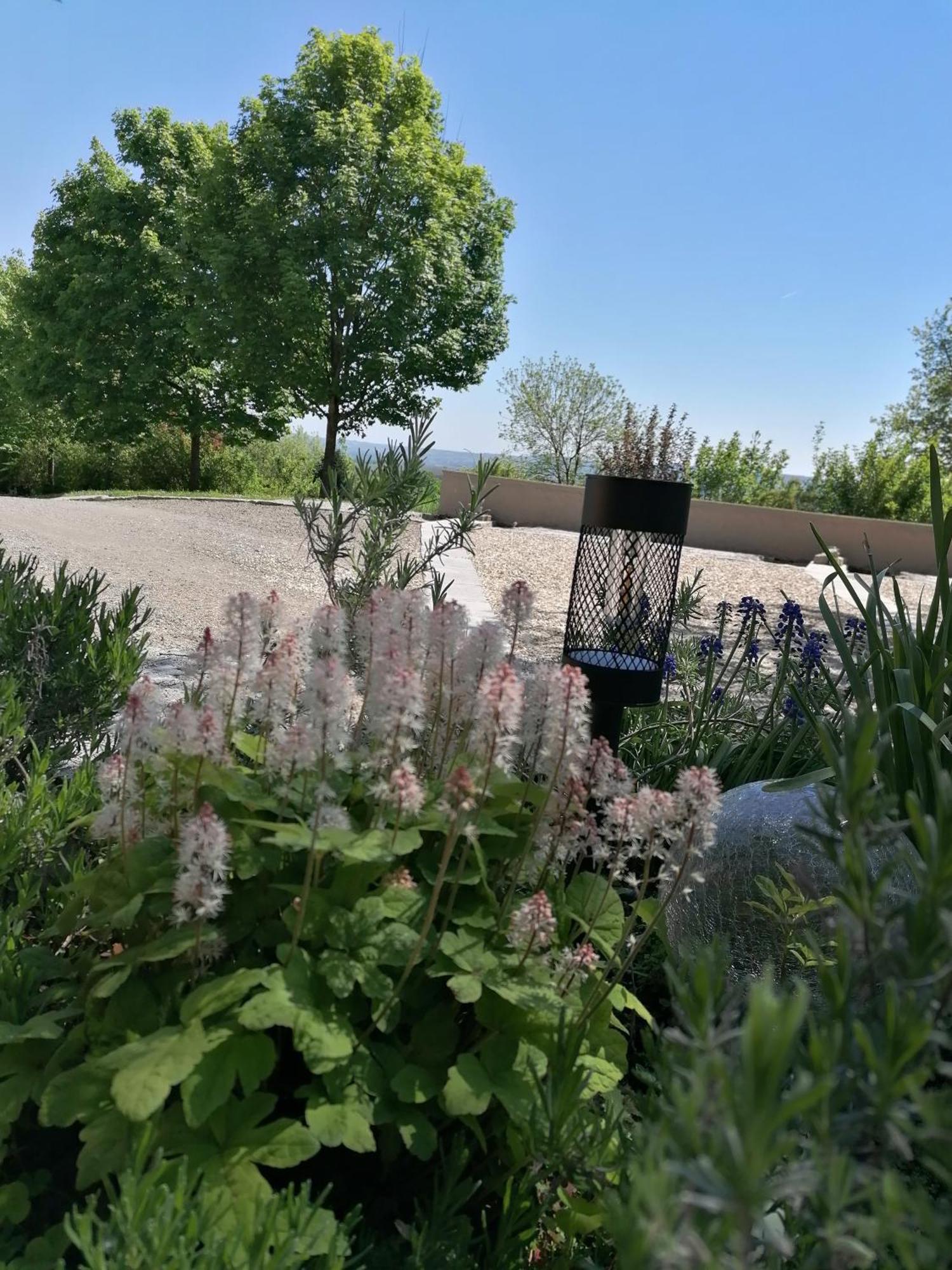 Ferienwohnung Schuhmann Mit Wintergarten Und Garten Therme Aquapulco Und Ikuna Erlebnispark, Zoo Schmiding 20 Min Mit Auto Entfernt Ab 3 Naechte Buchbar Hinzenbach Buitenkant foto